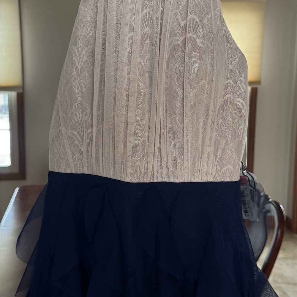 Elegant Lace and Chiffon Dress